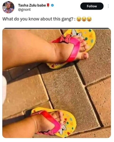 Tasha zulu babe gnont follow what do you know about this gang?