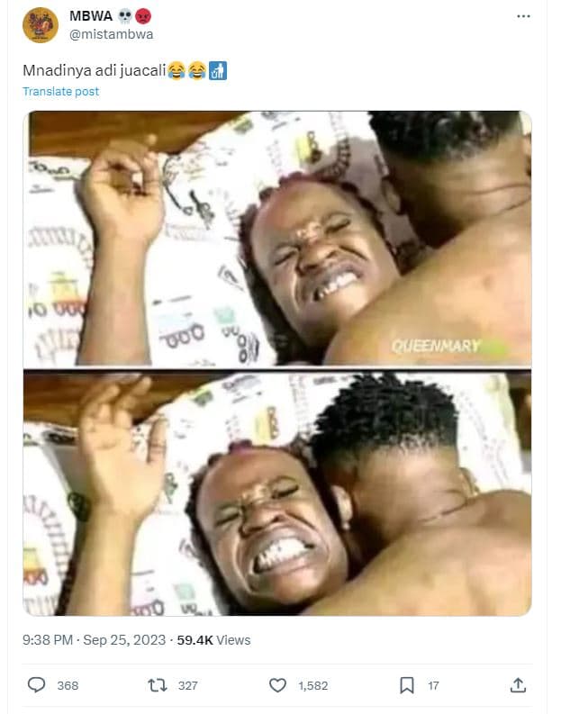 Mbwa mistambwa mnadinya adi juacali 4 translate post 0oo vo ceenhary 9.38 pm . s