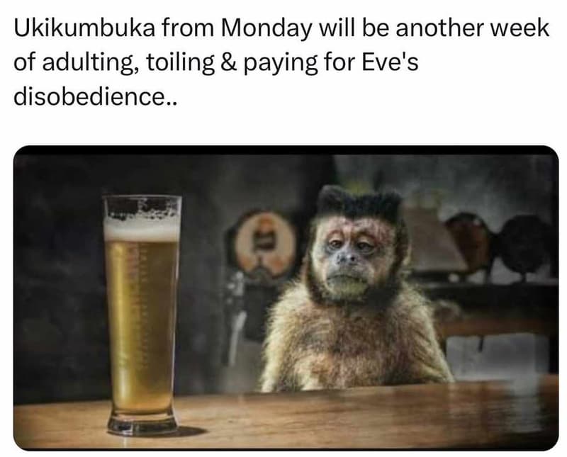 Ukikumbuka from monday will be another week of adulting toiling paying for eve's