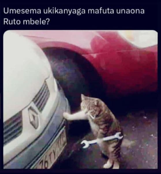 Umesema ukikanyaga mafuta unaona ruto mbele?