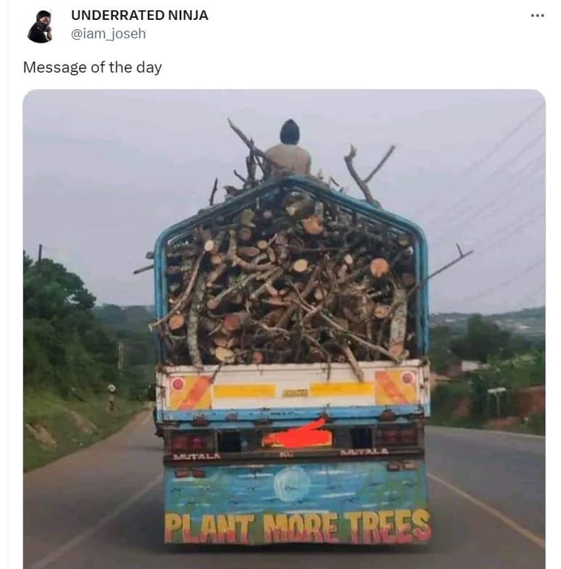 Underrated ninja iam_joseh message of the day plant mnre trees
