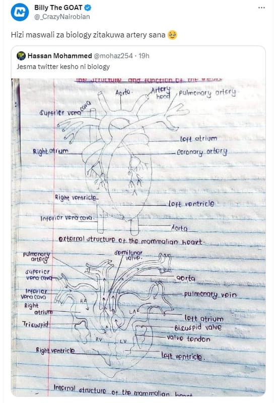 Billy the goat crazynairobian hizi maswali za biology zitakuwa artery sana hassa