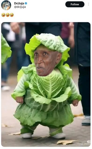 Dcijuja dcijuja follow