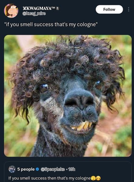 Ekwagmayatm kuag mt follow ifyou smell success that's my cologne 5 people gpgopl