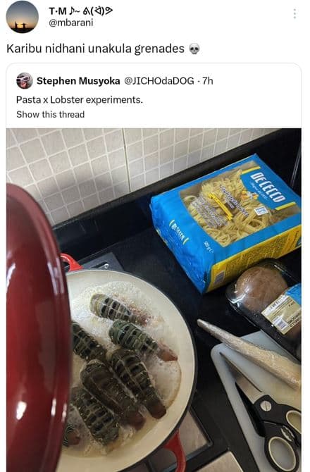 Tm a9 mbarani karibu nidhani unakula grenades stephen musyoka jichodadog pasta l