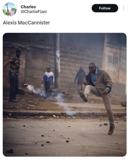 Charles charlieflani follow alexis maccannister