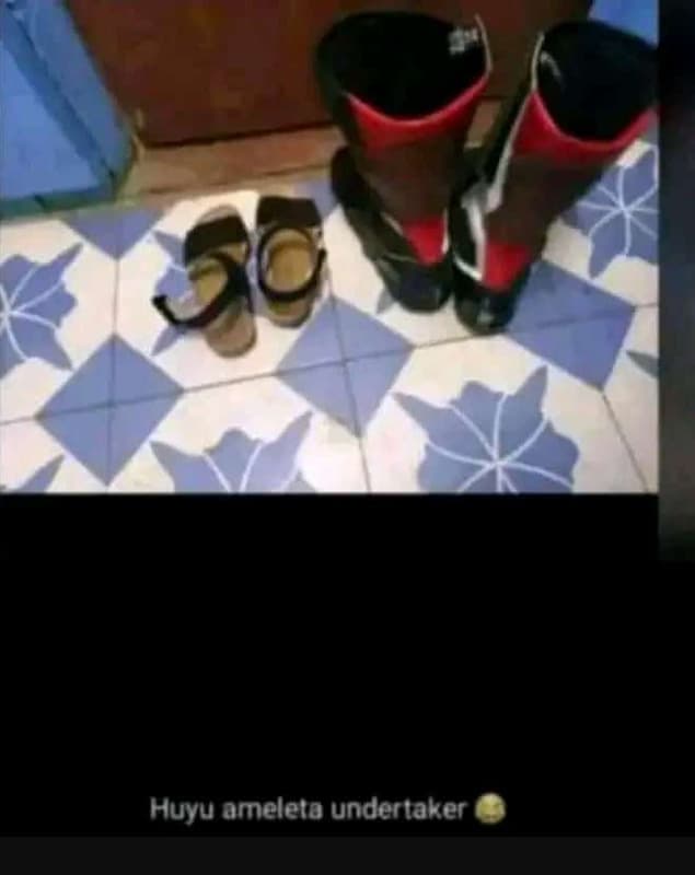 Huyu ameleta undertaker