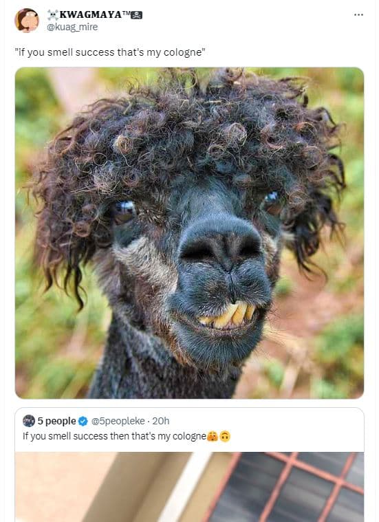 Kwagmaya0 kuag_mire you smell success that's my cologne' 5 people 5peopleke 20h