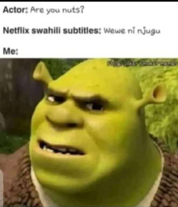 Actor are you nuts? netfllx swahlli subtilles wewe ni njugu me