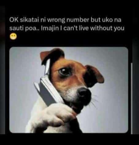 Ok sikatai nl wrong number but uko na sauti poa . imajin can't live without you