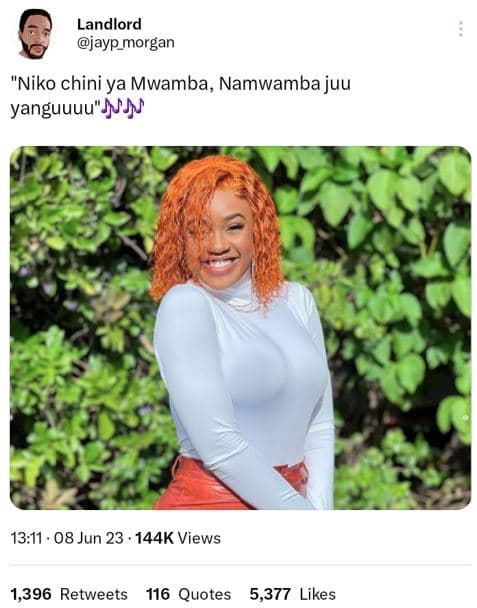 Landlord jayp morgan niko chini ya mwamba, namwamba juu yanguuuu jj 1311 . 08 ju