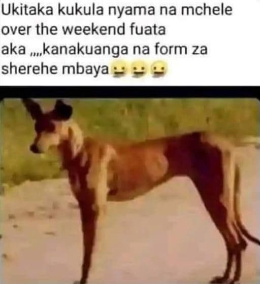 Ukitaka kukula nyama na mchele over the weekend fuata aka ,kanakuanga na form za