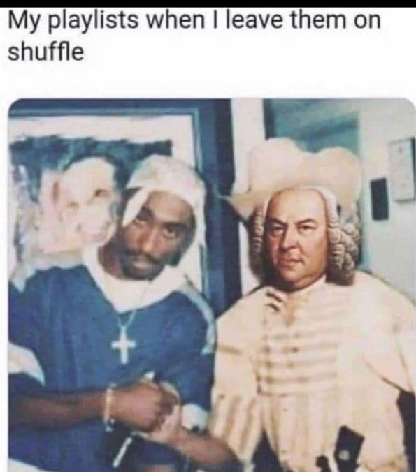 My playlists when leave them on shuffle