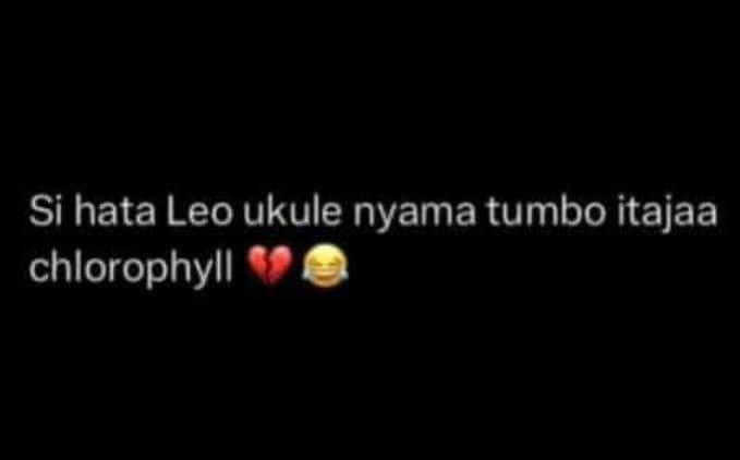 Si hata leo ukule nyama tumbo itajaa chlorophyll