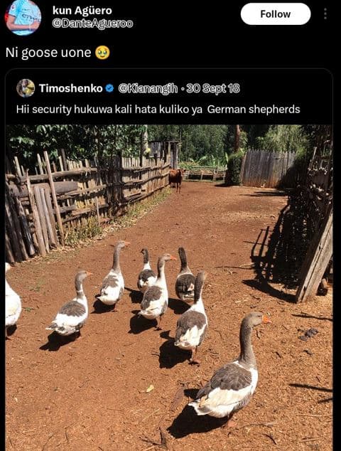 Kun agüero danlaaguajoo follow ni goose uone timoshenko klanannglh . 80 sępt 18