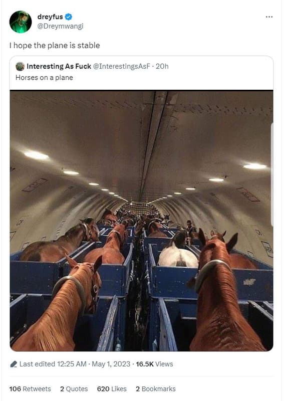 Dreyfus dreymwangi hope the plane is stable interesting as fuck interestingsasf