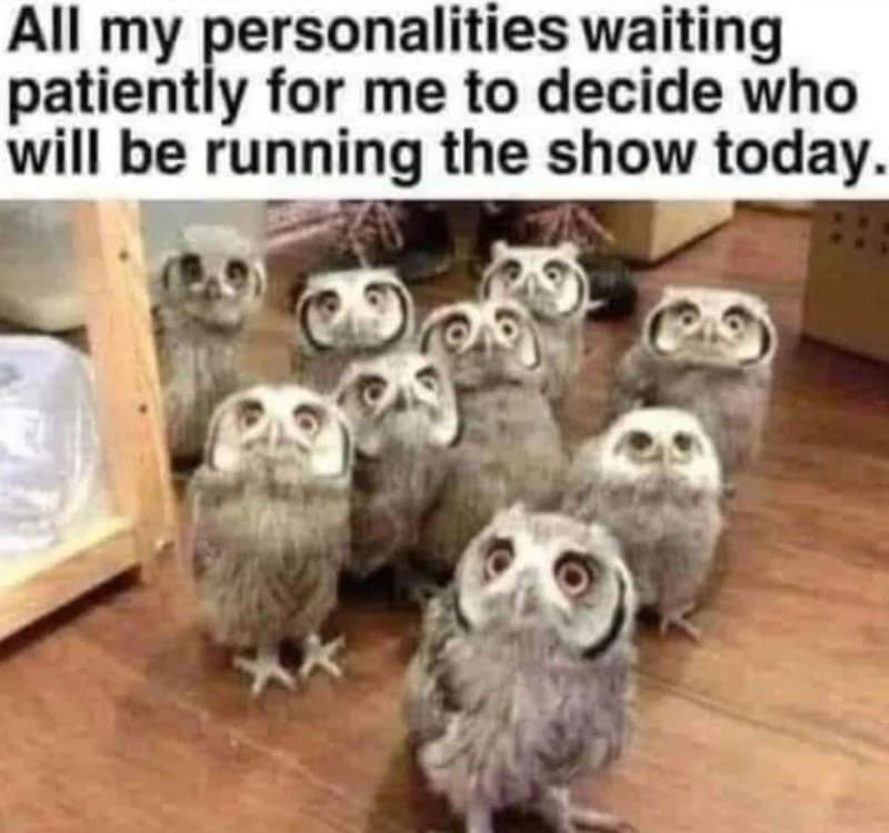 All my personalities waiting patiently for me to decide who will be running the