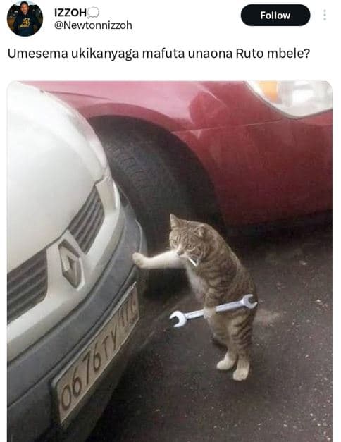 Izzoh newtonnizzoh follow umesema ukikanyaga mafuta unaona ruto mbele? 8