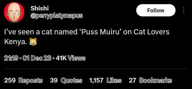 Shishi ppeminyplatymapus follow ive seen a cat named 'puss muiru' on cat lovers