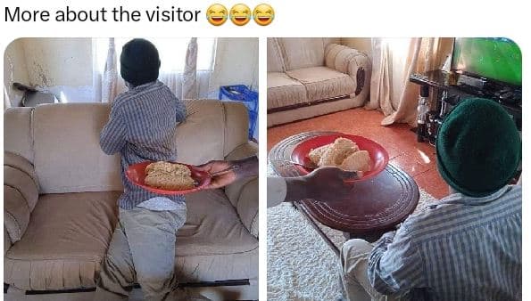 More about the visitor