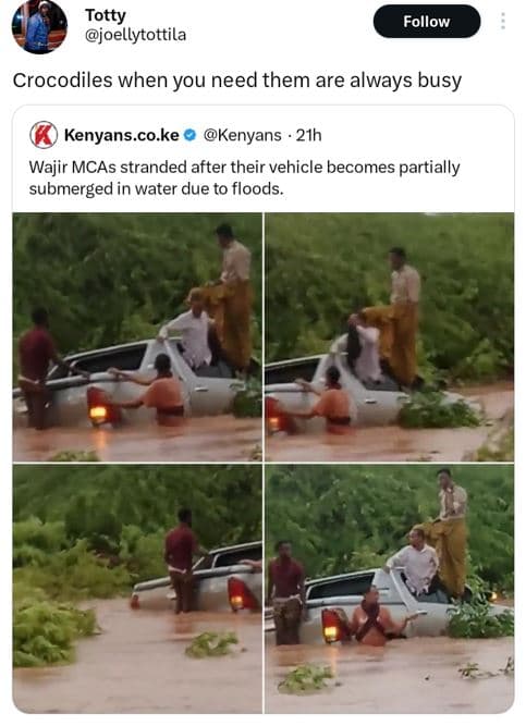 Totty joellytottila follow crocodiles when you need them are always busy kenyans
