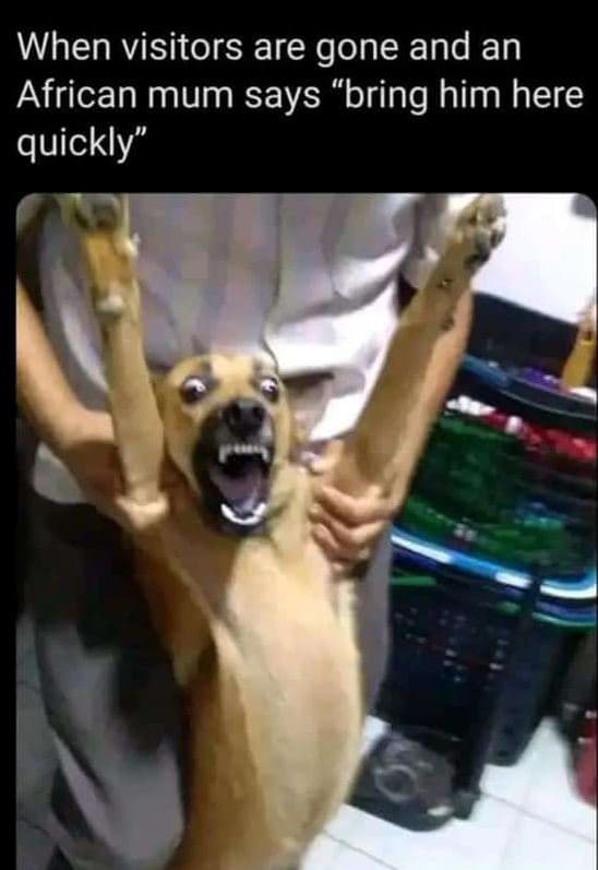 When visitors are gone and an african mum says bring him here quickly