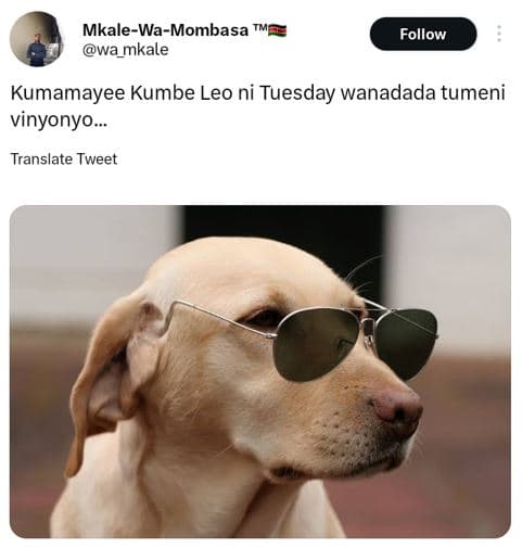 Mkalewamombasa wa_mkale follow kumamayee kumbe leo ni tuesday wanadada tumeni vi