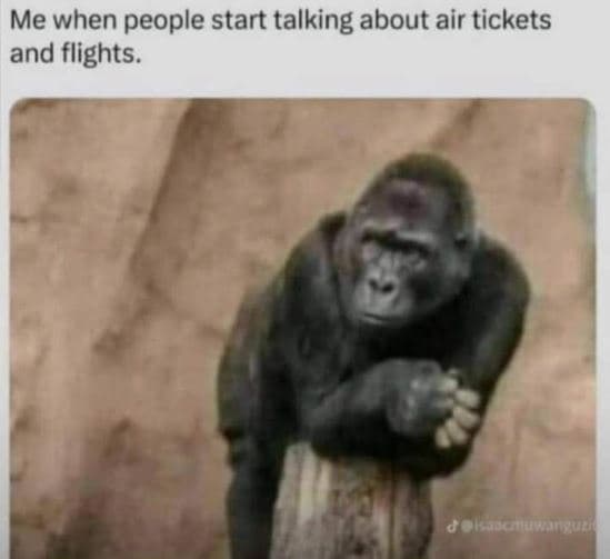 Me when people start talking about air tickets and flights.