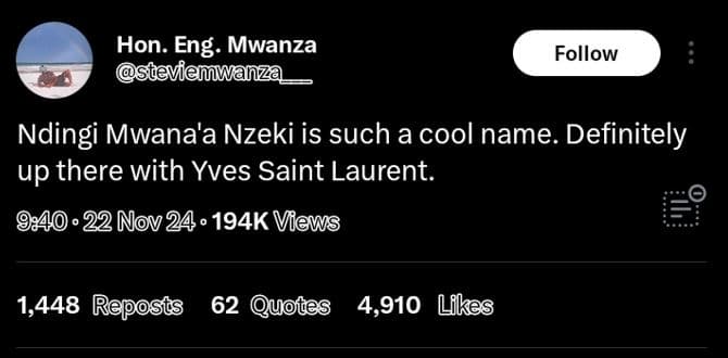 Hon. eng. mwanza steviemwanza follow ndingi mwana'a nzeki is such acool name. de