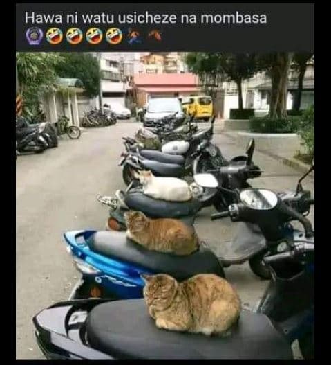 Hawa ni watu usicheze na mombasa