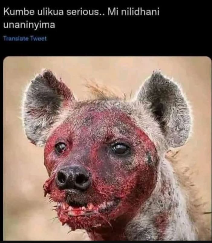 Kumbe ulikua serious.. mi nilidhani unaninyima tranglole tver