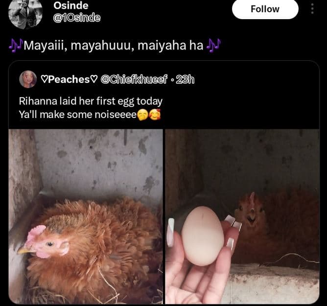 Osinde 1osinde follow mayaiii, mayahuuu, maiyaha ha ypeachesv chiefkhueef 23h ri