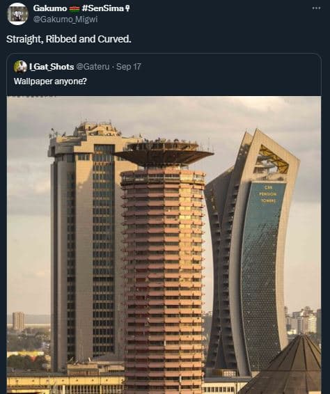 Gakumo sensima ? gakumo_migwi straight, ribbed and curved. lgat_shots gateru . s