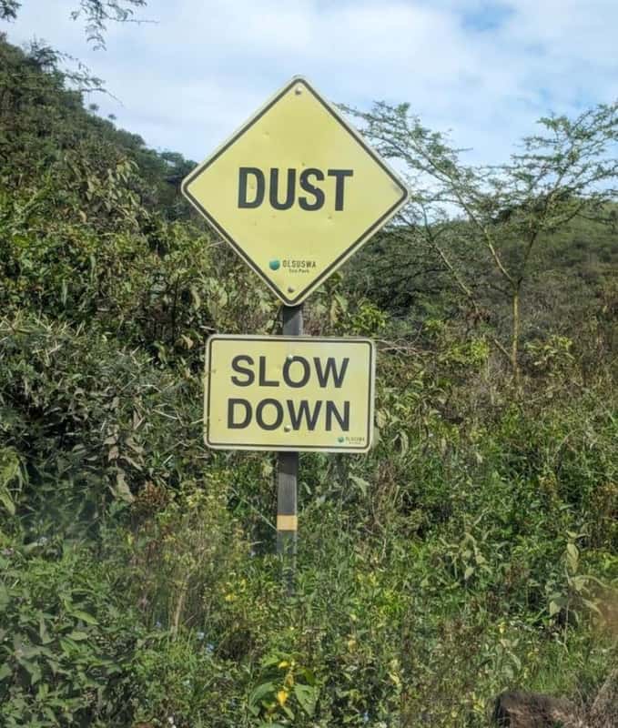 Dust olsusaa slow down