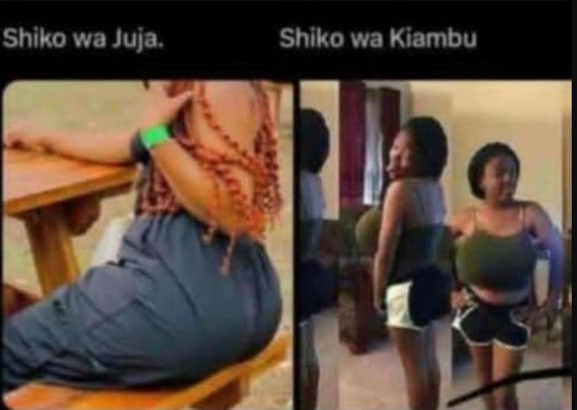 Shiko wa juja . shiko wa kiambu