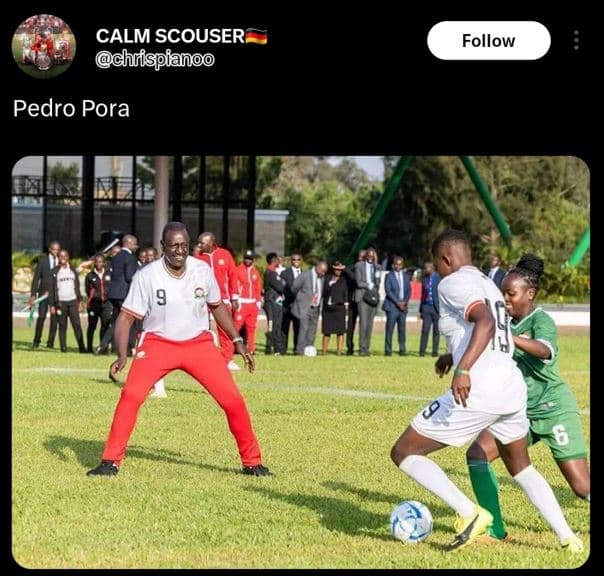 Calm scouser chrigpianoo follow pedro pora