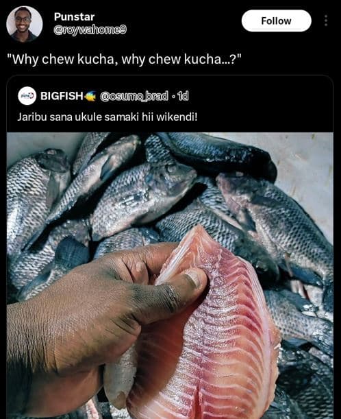 Punstar oywuhomeg follow 'why chew kucha, why chew kucha.? bigfish sumobrad . 1d