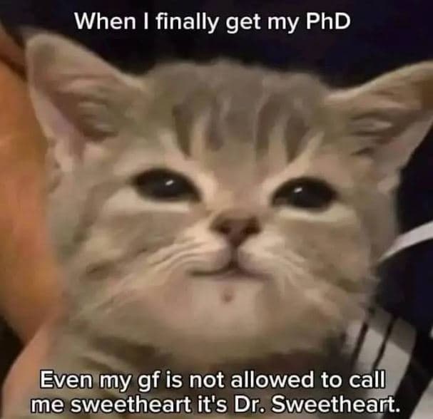 When finally get my phd even my gf is not allowed to call me sweetheart it's dr.