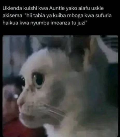 Ukienda kuishi kwa auntie yako alafu uskie akisema hii tabia ya kuiba mboga kwa
