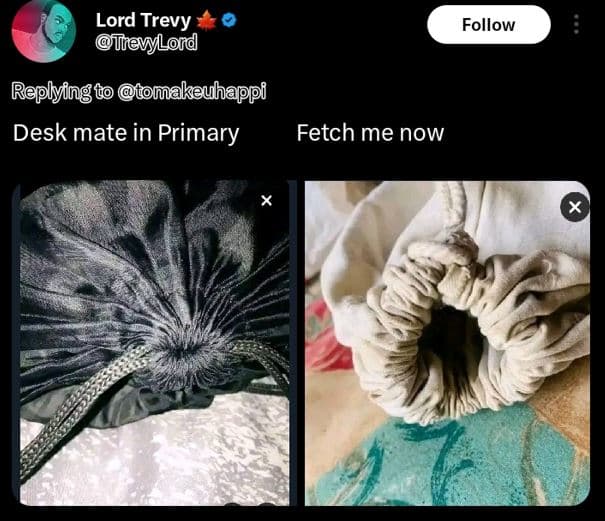 Lord trevy filrievylord follow replying tomakeuhappi desk mate in primary fetch