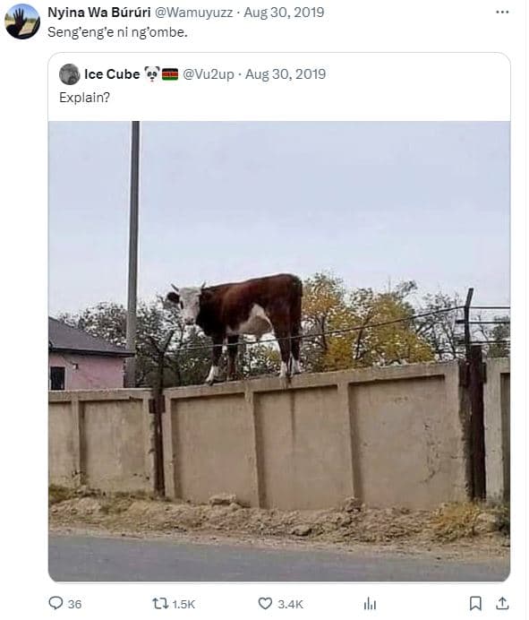 Nyina wa bárári wamuyuzz aug 30, seng'enge ni ngombe. ice cube vuzup . aug 30, e
