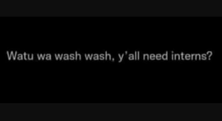 Watu wa wash wash. y'all need interns?