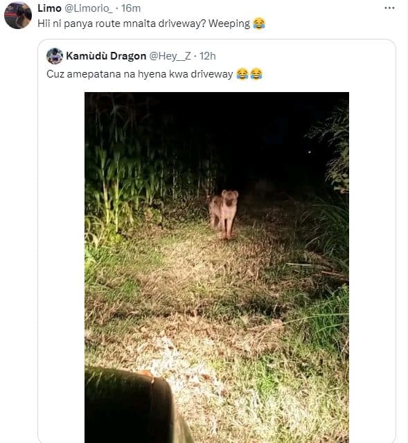 Limo limorio 16m hii ni panya route mnaita driveway? weeping kamudu dragon hey_z
