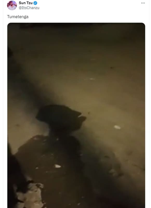 Sun tzu itschanzu tumetenga