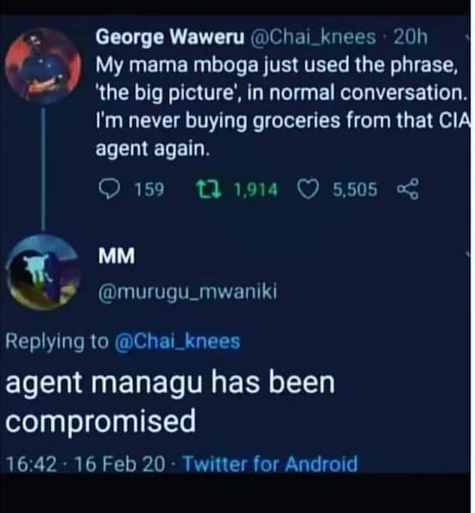 George waweru chai_knees 20h my mama mboga just used the phrase, 'the big pictur