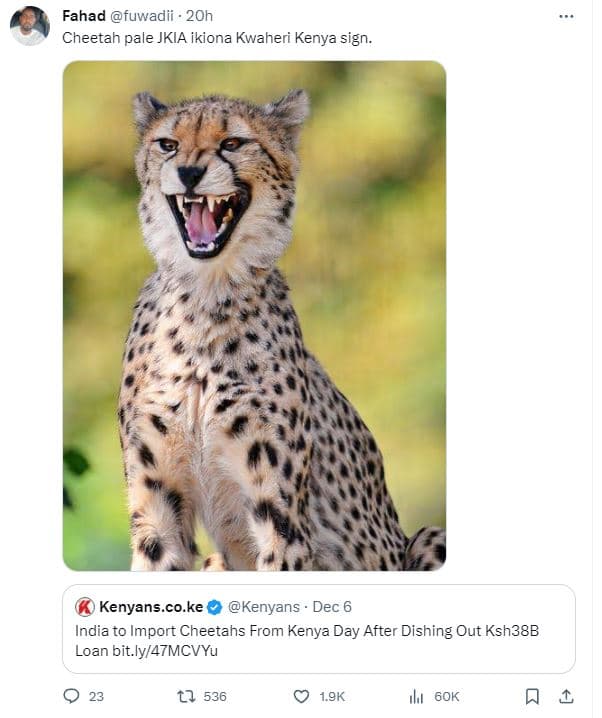Fahad fuwadii . 2oh cheetah pale jkia ikiona kwaheri kenya sign. kenyans.co.ke k