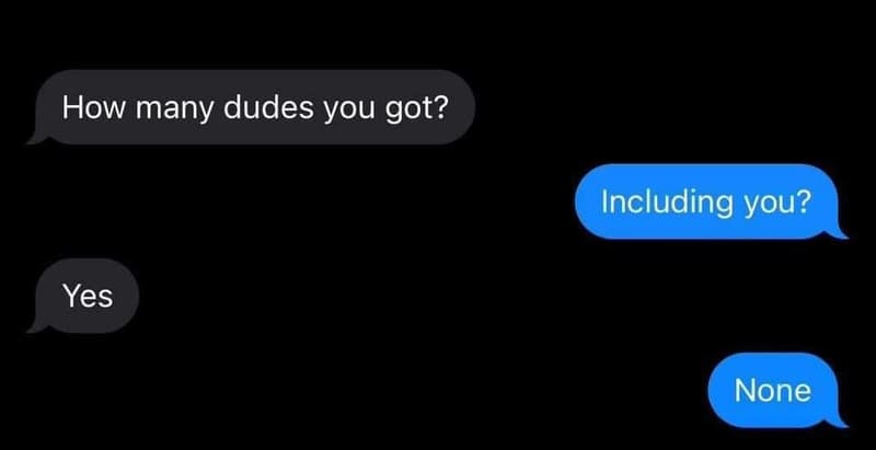 How many dudes you got? including you? yes none