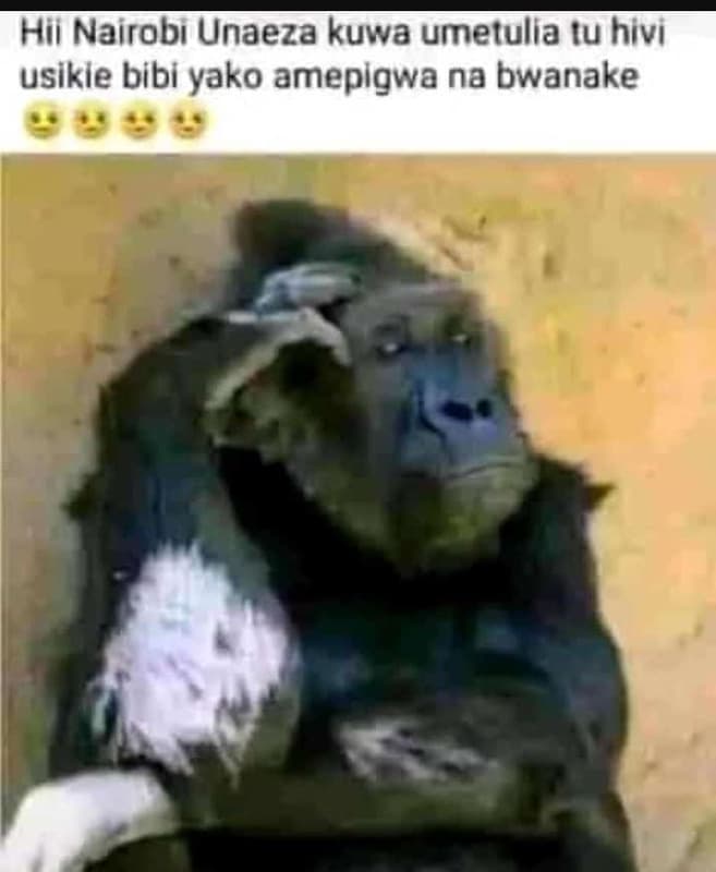 Hil nairobı unaeza kuwa umetulla tuhivı usikie bibi yako amepigwa na bwanake