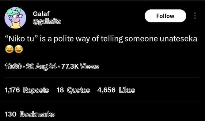 Galaf allafla follow 'niko tu is a polite way of telling someone unateseka 29 au