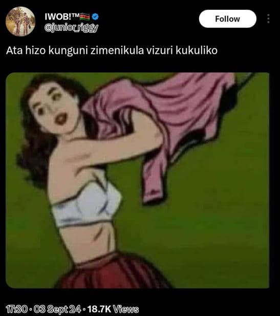 Iwob!tm juniorriggy follow ata hizo kunguni zimenikula vizuri kukuliko 03 sępt24